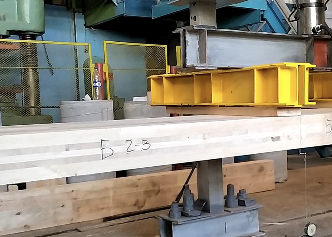 CLT panels produced in Korosten, Ukraine | Osnovnoy Moment (OsnoM)
